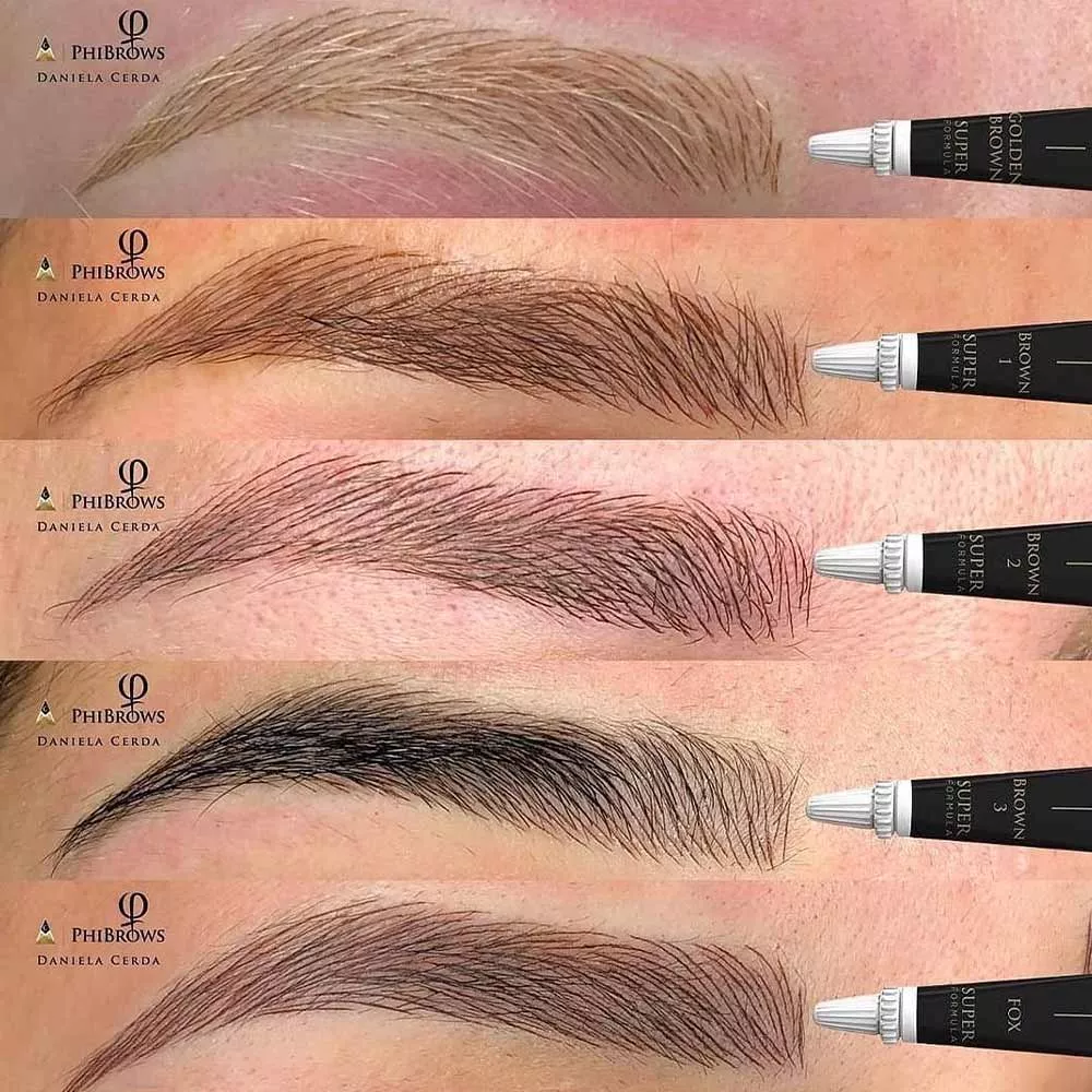 5 eyebrows showing the different shades of pigment, by Daniela Cerda